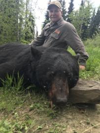 Niice black bear trophy