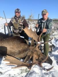 A late season trophy moose