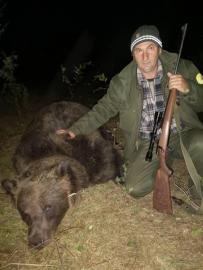 European Brown Bear Hunting