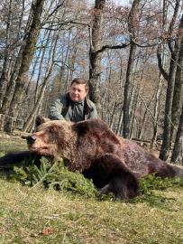 Hunt Brown Bear On The Bait