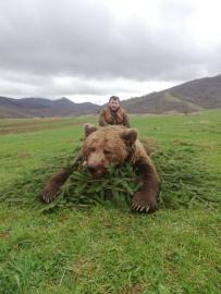 Hunt Brown Bear in Europe