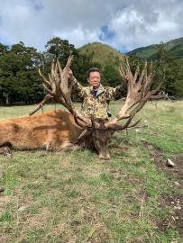 700 inch red stag