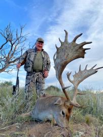 Trophy Free-range fallow deer in Argentina