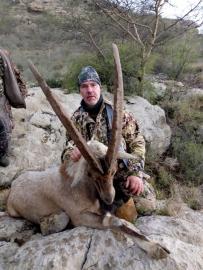 Sindh Ibex 7