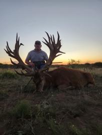 Hunt Giant Trophy Free Range Red Stag