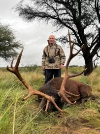 hunt red stag in Argentina