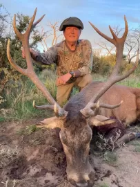 south american red stag trophy photo