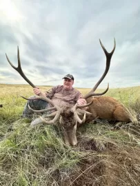 red stag hunting in South Africa