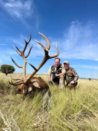 free range red stag hunting in Argentina