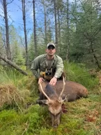 Highland stag hunt in scotland