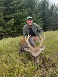 Scotland Highlands red stag hunt