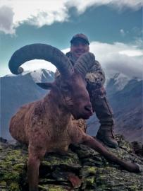 Big Dagestan Tur Hunting