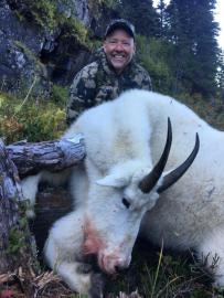 A huge mountain goat trophy in British Columbia