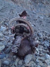 Huge Ibex Trophy
