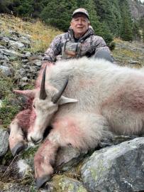 A nice mountain goat in Canada