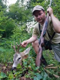 Croation trophy roe buck