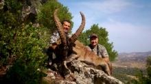 a Good Ronda Ibex