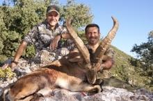 A trenmendous Ronda ibex in Spain