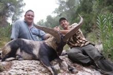 Two Hunters with a big Gredos Ibex