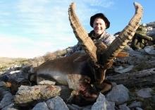 A bii Spanish Ronda Ibex