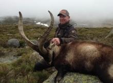 Sa Gredos Ibex taken on a foggy day!