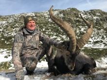 Huge Beceite Ibex Trophy