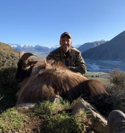 Big Trophy Tahr on South Island Trophy Tahr