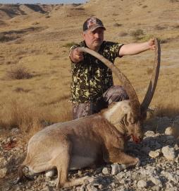 Sindh Ibex 10