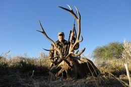 Argentina Free-Range Red Stag 9