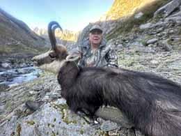 Big Trophy Chamois in the mountains