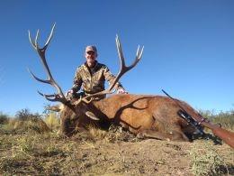 Argentina Free-Range Red Stag 10