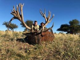 Artgentina big stag trophy