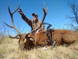 Bow Hunted Red Stag Trophy