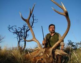 Argentina Free-Range Red Stag 5