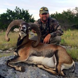Texas Sheep Hunt