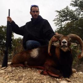Trophy Sheep Hunt in Texas