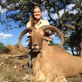 Aoudad Ram Trophy Hunt