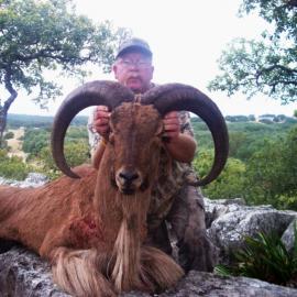 Trophy Barbery Sheep Hunt