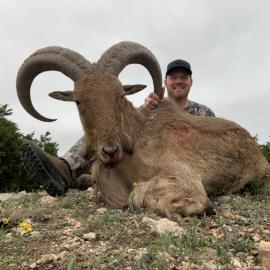 Hunting Aoudad Ram in Texas