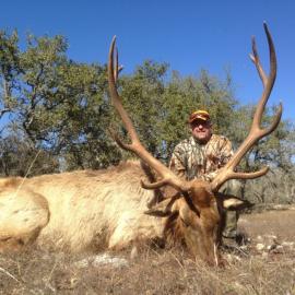 Giant Elk Hunt in Texas