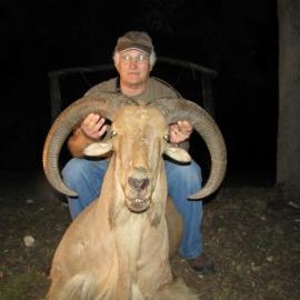 Hunting Aoudad Ram in Texas