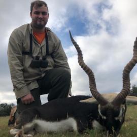 Hunt Blackbuck in Texas