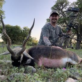 Hunt Blackbuck with a Bow