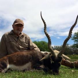 Hunt Trophy Blackbuck in America