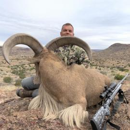 Hunt aoudad sheep in Texas