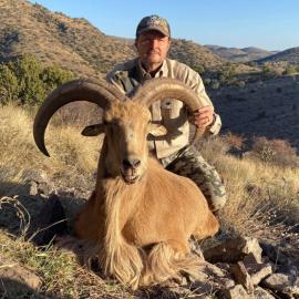Hunt Trophy barbary sheep