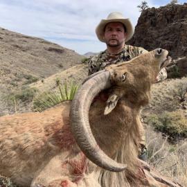 Free range aoudad hunt
