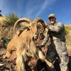 Hunting aoudad sheep in Texas