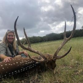 Axis Deer Hunting