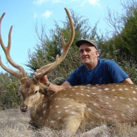 Hunt Axis Deer in Texas